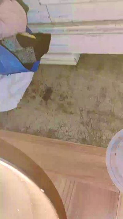 BiggTex817 Live Image