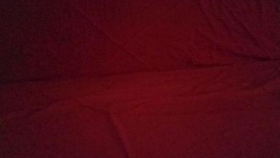 Celso_Moraes