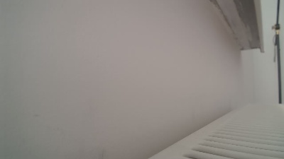 HornystudBB_ Live Image