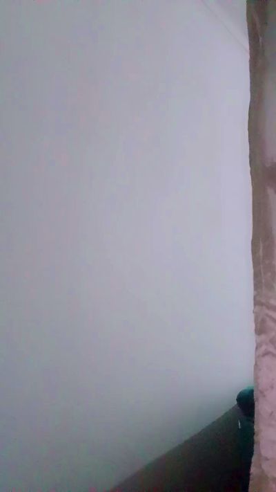 Katymorena