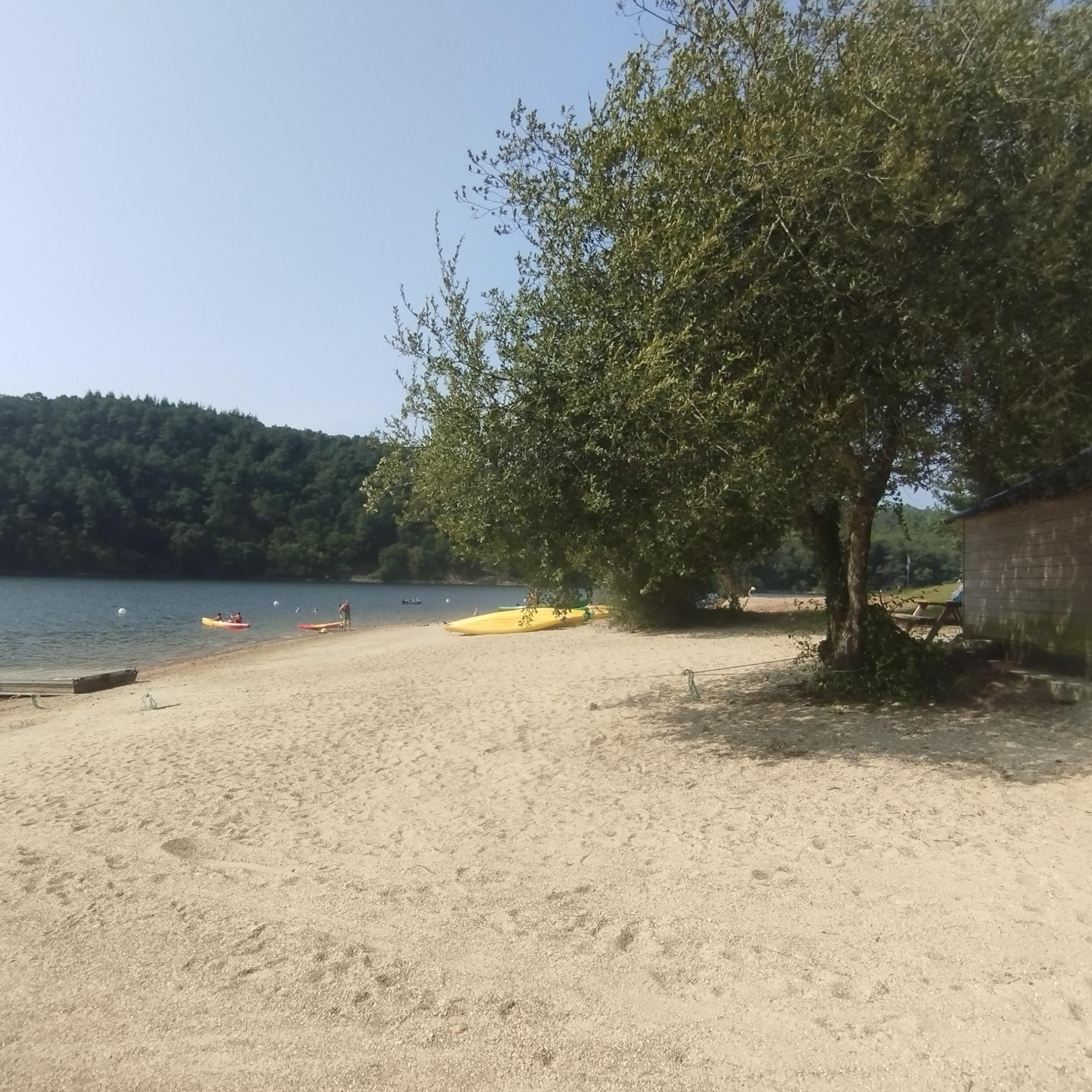 Pierremlesgode Live Image