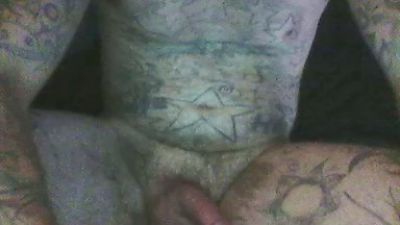 helloyesthis Live Image