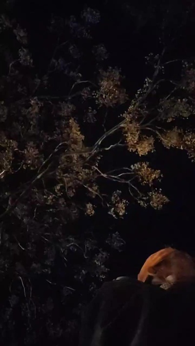 maxpowers84 Live Image