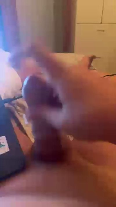 ortegaraulin7 Live Image