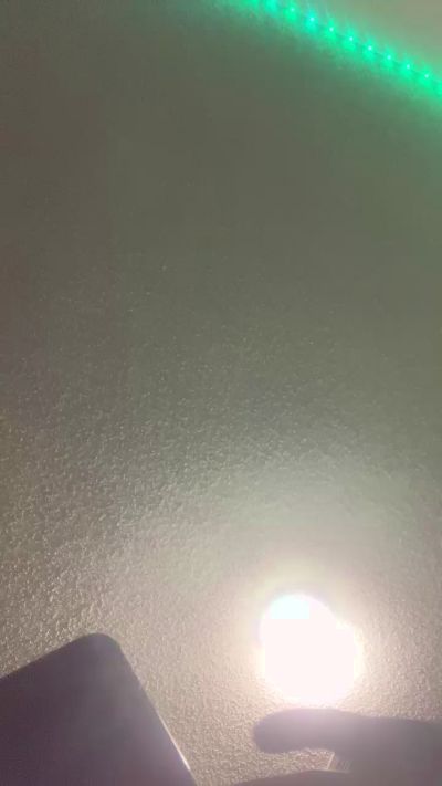 Buzz_Bunni_Bit live from United States