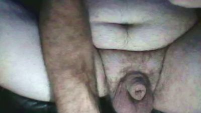 Tinyhalfinch live from United States