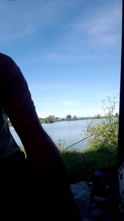 odidonc live from France