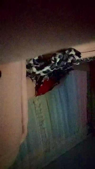 titiasafadinha live from Brazil